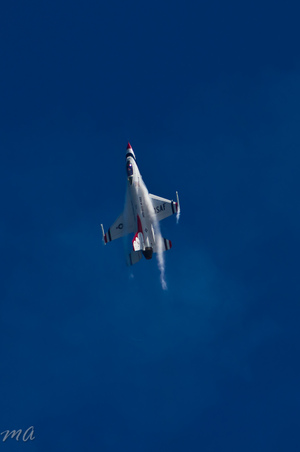 Enlarge photo 561