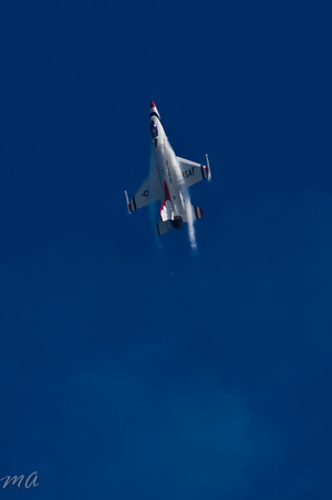 Enlarge photo 562