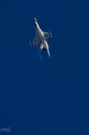 Enlarge photo 563