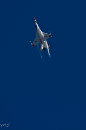 Enlarge photo 564
