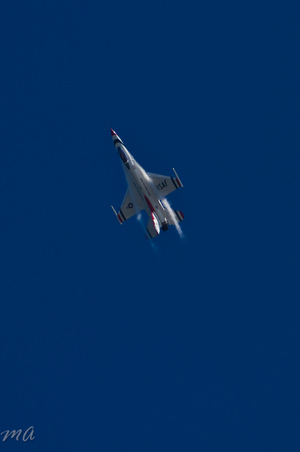 Enlarge photo 565
