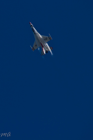 Enlarge photo 566