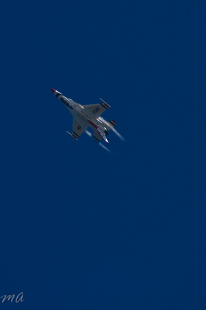Enlarge photo 567