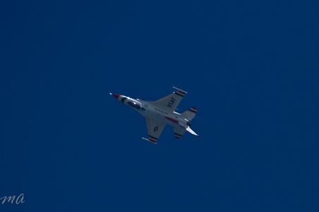 Enlarge photo 572