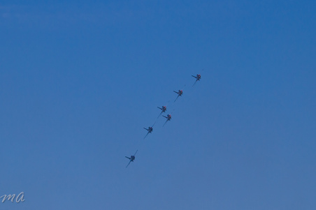 Enlarge photo 644