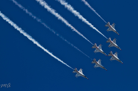 Enlarge photo 717