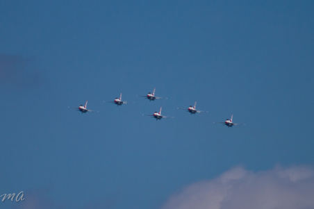 Enlarge photo 727