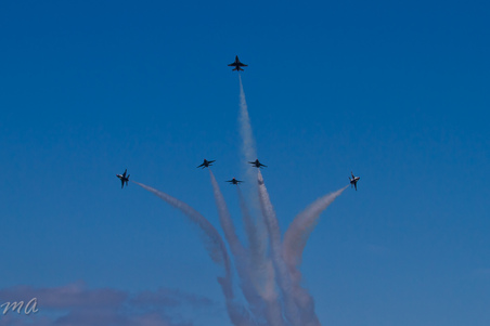 Enlarge photo 788