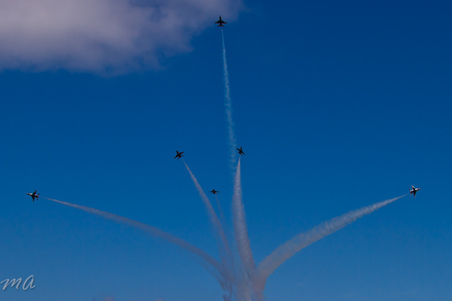 Enlarge photo 797