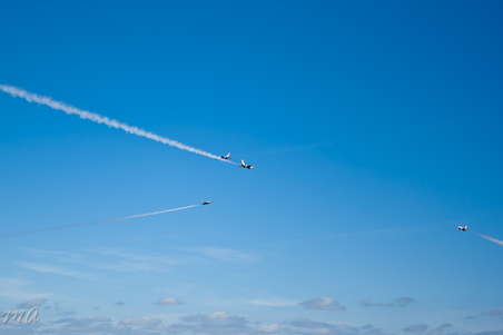 Enlarge photo 822