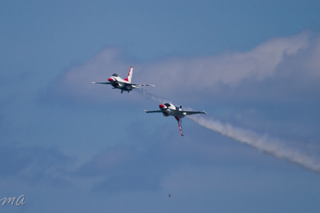 Enlarge photo 859