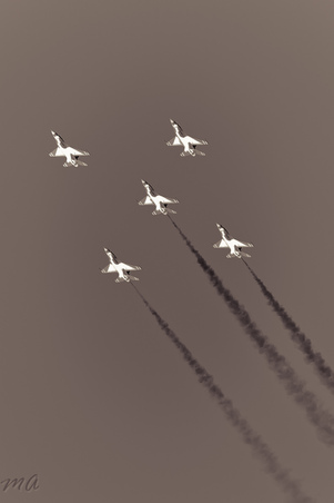 Enlarge photo 44