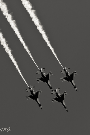 Enlarge photo 48