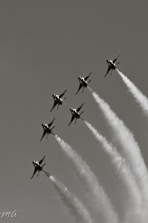 Enlarge photo 51