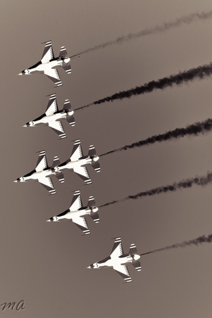 Enlarge photo 58