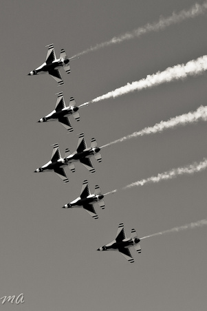 Enlarge photo 59