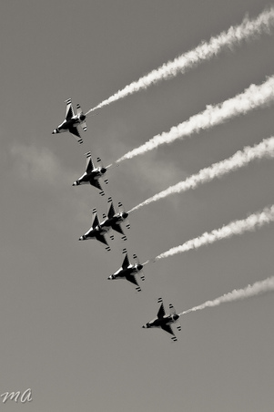 Enlarge photo 60