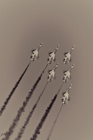 Enlarge photo 61