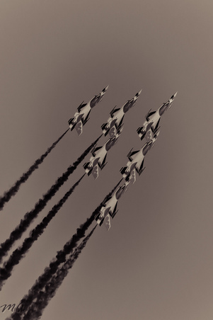 Enlarge photo 62