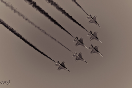Enlarge photo 63