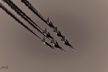 Enlarge photo 65