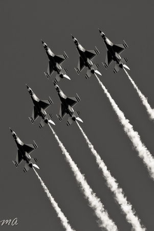 Enlarge photo 70
