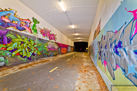 Enlarge photo 28