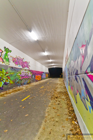 Enlarge photo 32