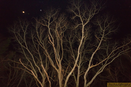 Enlarge photo 43