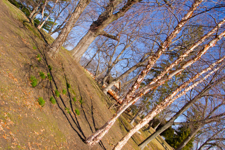 Enlarge photo 22