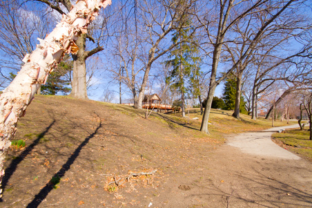 Enlarge photo 26