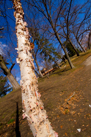 Enlarge photo 27