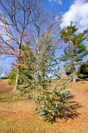Enlarge photo 32