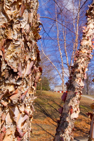 Enlarge photo 34