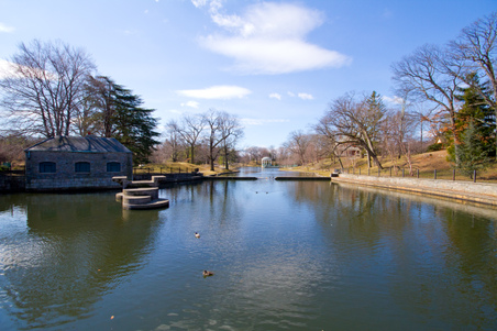 Enlarge photo 37