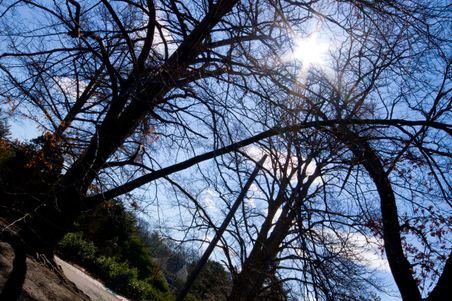 Enlarge photo 43