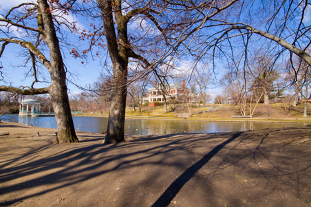 Enlarge photo 45