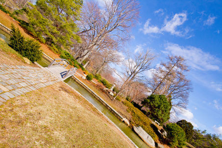 Enlarge photo 49