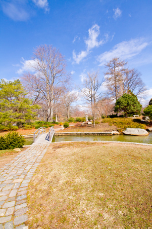 Enlarge photo 50
