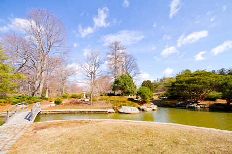 Enlarge photo 51