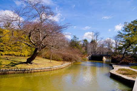 Enlarge photo 53