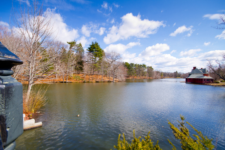 Enlarge photo 62