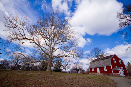 Enlarge photo 84