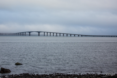 Enlarge photo 21
