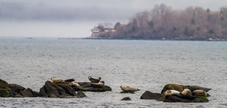Enlarge photo 34