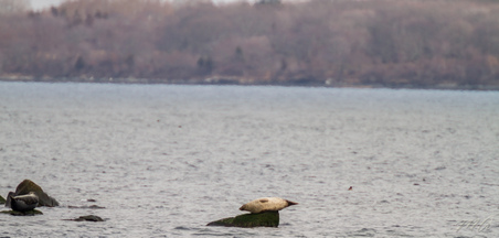 Enlarge photo 35
