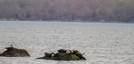 Enlarge photo 36