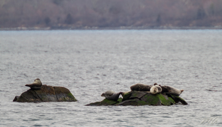 Enlarge photo 38