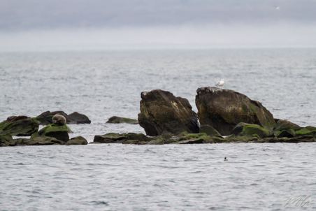 Enlarge photo 47
