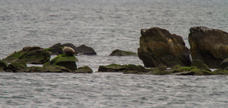 Enlarge photo 89